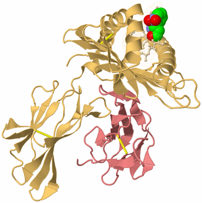 Image Biological Unit 3