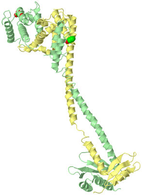 Image Biological Unit 2