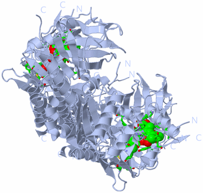 Image Biol. Unit 1 - sites