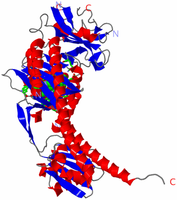 Image Asym. Unit - sites