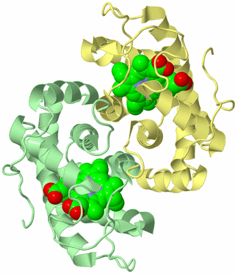 Image Biological Unit 2