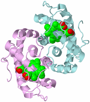 Image Biological Unit 3