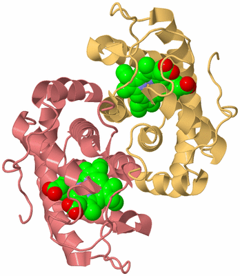 Image Biological Unit 4