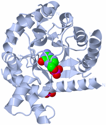 Image Biological Unit 1