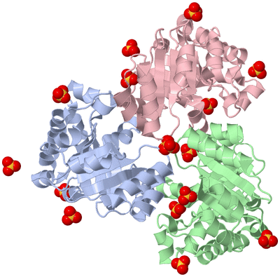 Image Asym./Biol. Unit