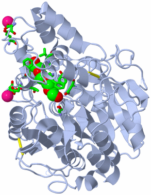 Image Biol. Unit 1 - sites