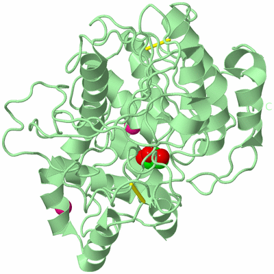 Image Biological Unit 2