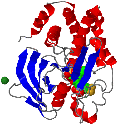 Image Asym./Biol. Unit