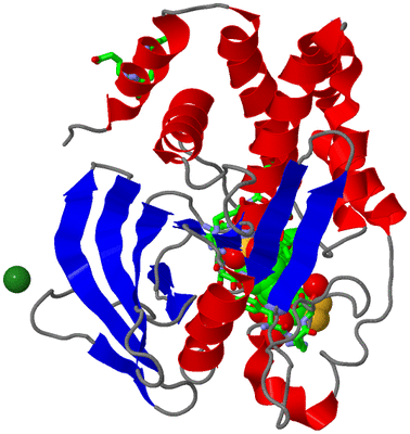 Image Asym./Biol. Unit - sites