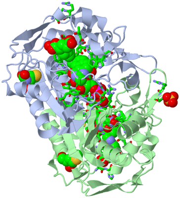 Image Asym./Biol. Unit - sites