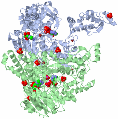 Image Biological Unit 1