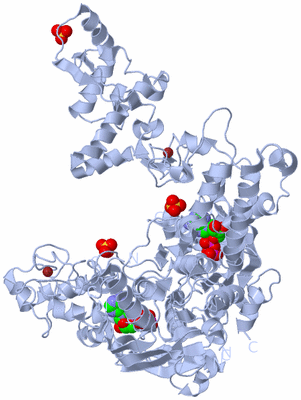 Image Biological Unit 2