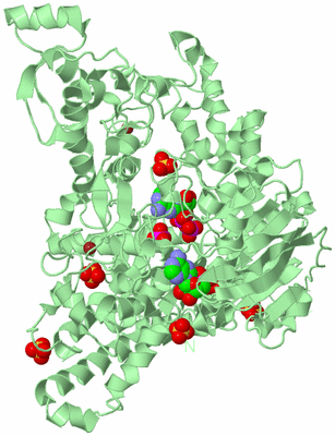 Image Biological Unit 3