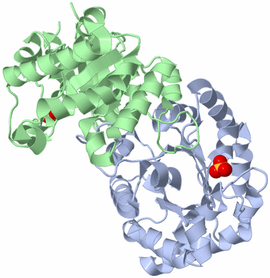 Image Asym./Biol. Unit