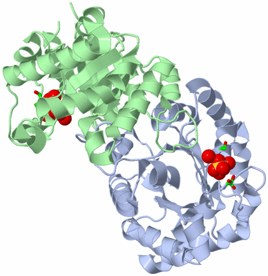 Image Asym./Biol. Unit - sites