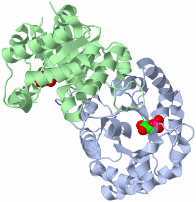 Image Asym./Biol. Unit