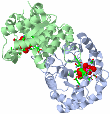 Image Asym./Biol. Unit - sites