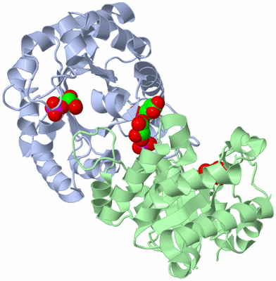 Image Asym./Biol. Unit