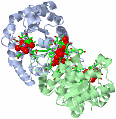 Image Asym./Biol. Unit - sites