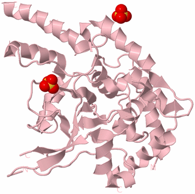 Image Biological Unit 3