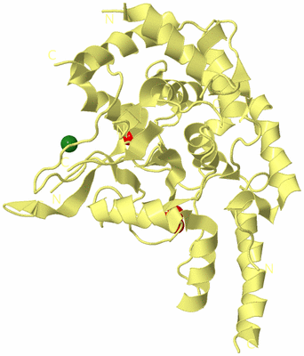 Image Biological Unit 4