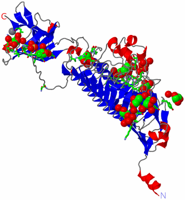 Image Asym. Unit - sites