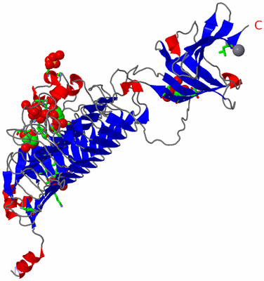 Image Asym. Unit - sites