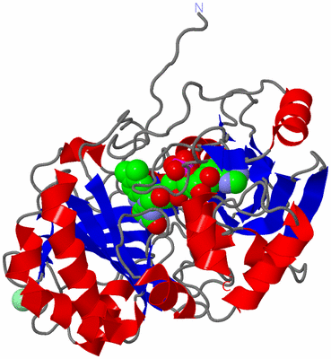 Image Asym./Biol. Unit