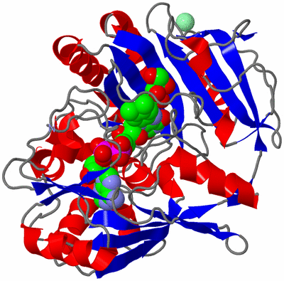 Image Asym./Biol. Unit