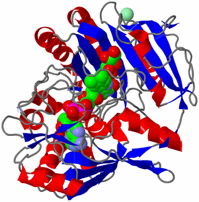 Image Asym./Biol. Unit