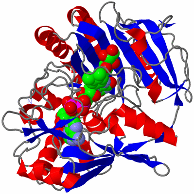 Image Asym./Biol. Unit