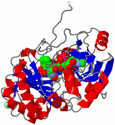 Image Asym./Biol. Unit