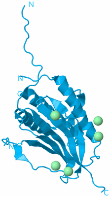 Image Biological Unit 10