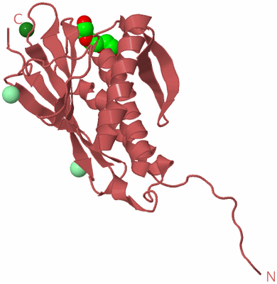 Image Biological Unit 11