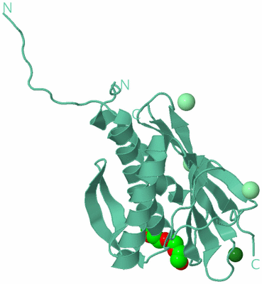 Image Biological Unit 12