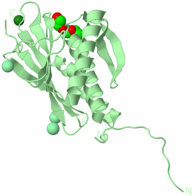 Image Biological Unit 2