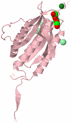 Image Biological Unit 3