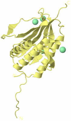 Image Biological Unit 4