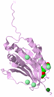 Image Biological Unit 5