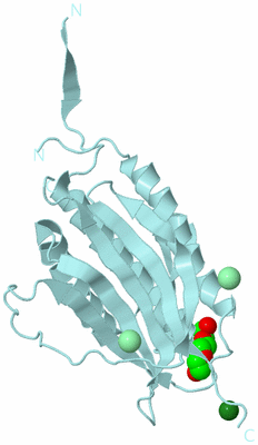 Image Biological Unit 6