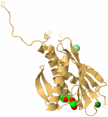 Image Biological Unit 7