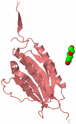 Image Biological Unit 8