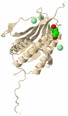 Image Biological Unit 9