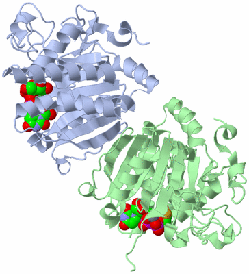 Image Asym./Biol. Unit