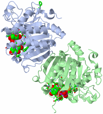 Image Asym./Biol. Unit - sites