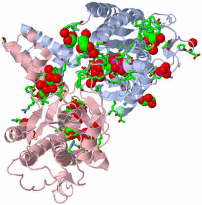 Image Biol. Unit 1 - sites