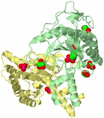 Image Biological Unit 2