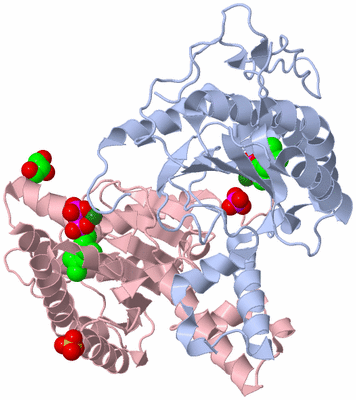 Image Biological Unit 1