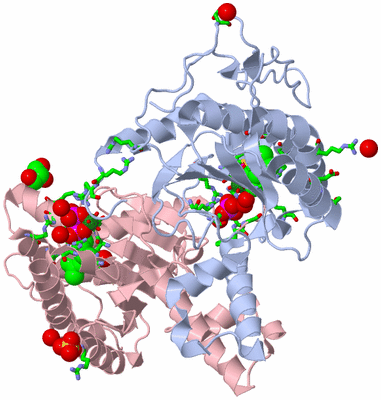 Image Biol. Unit 1 - sites