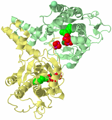 Image Biological Unit 2